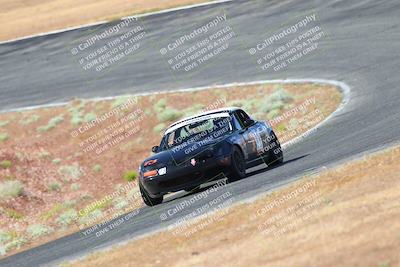 media/May-06-2023-Lucky Dog Racing (Sat) [[8f2256f436]]/Turn 2 10a/